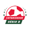 Campeonato Catarinense 2