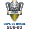 Pokal Brazilije U20