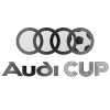 Audi Pokal